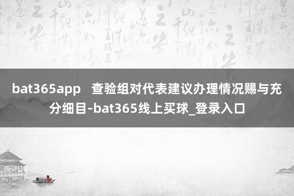 bat365app   查验组对代表建议办理情况赐与充分细目-bat365线上买球_登录入口