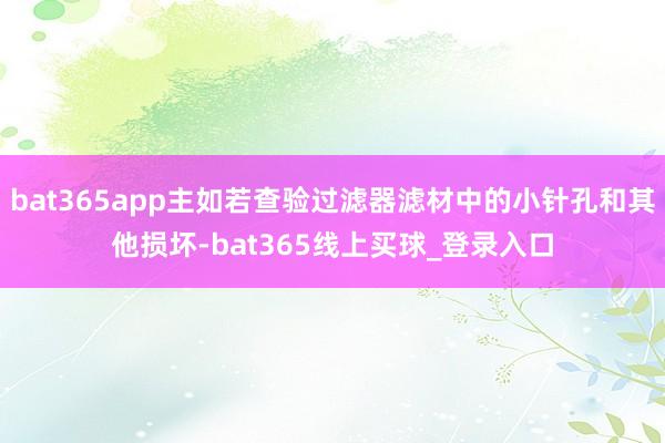 bat365app主如若查验过滤器滤材中的小针孔和其他损坏-bat365线上买球_登录入口