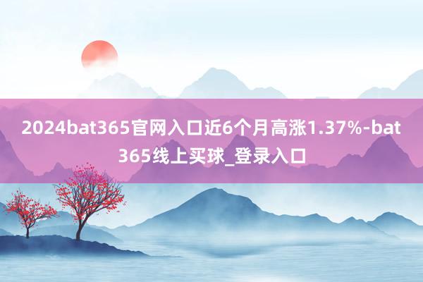 2024bat365官网入口近6个月高涨1.37%-bat365线上买球_登录入口