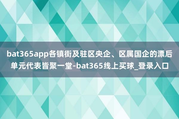 bat365app各镇街及驻区央企、区属国企的漂后单元代表皆聚一堂-bat365线上买球_登录入口