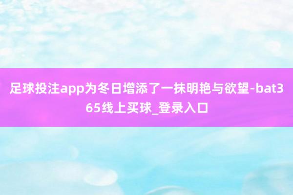 足球投注app为冬日增添了一抹明艳与欲望-bat365线上买球_登录入口