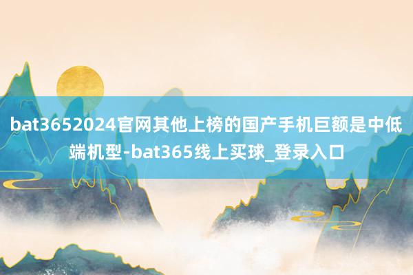 bat3652024官网其他上榜的国产手机巨额是中低端机型-bat365线上买球_登录入口