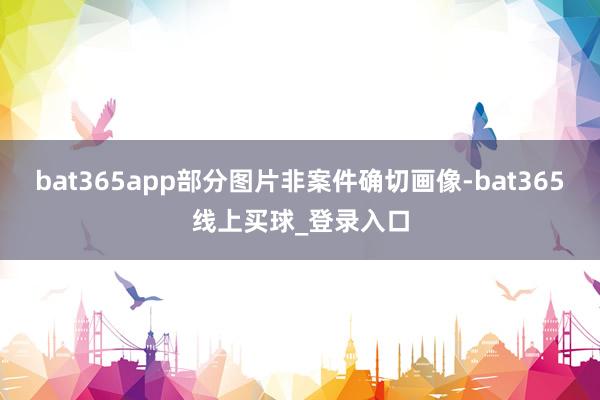 bat365app部分图片非案件确切画像-bat365线上买球_登录入口