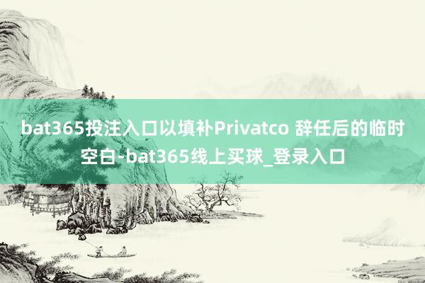 bat365投注入口以填补Privatco 辞任后的临时空白-bat365线上买球_登录入口