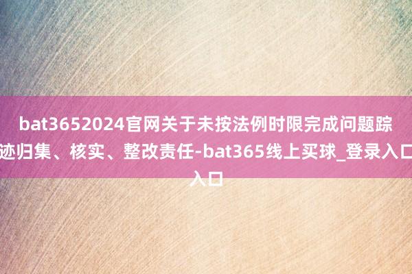 bat3652024官网关于未按法例时限完成问题踪迹归集、核实、整改责任-bat365线上买球_登录入口