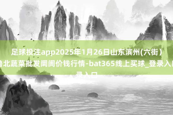 足球投注app2025年1月26日山东滨州(六街）鲁北蔬菜批发阛阓价钱行情-bat365线上买球_登录入口