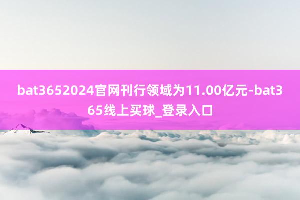 bat3652024官网刊行领域为11.00亿元-bat365线上买球_登录入口