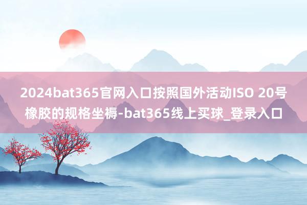2024bat365官网入口按照国外活动ISO 20号橡胶的规格坐褥-bat365线上买球_登录入口