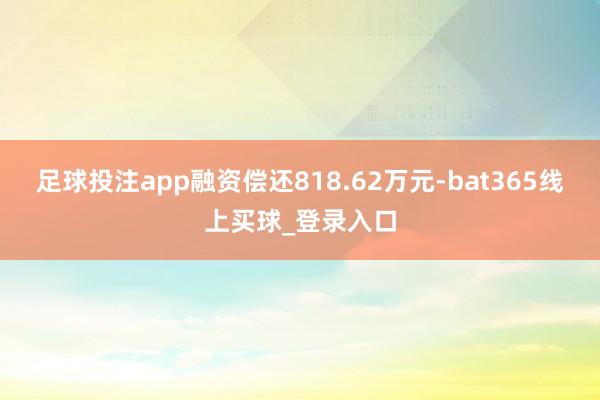 足球投注app融资偿还818.62万元-bat365线上买球_登录入口