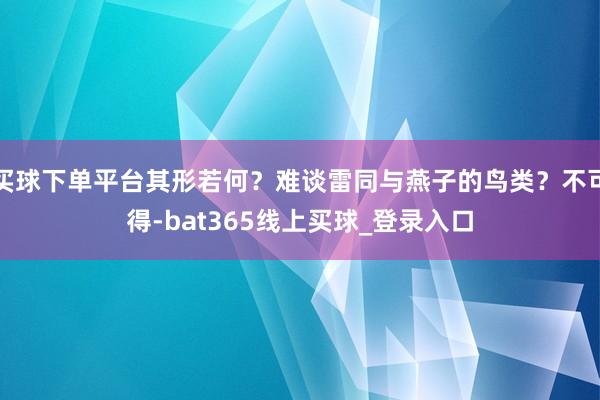 买球下单平台其形若何？难谈雷同与燕子的鸟类？不可得-bat365线上买球_登录入口