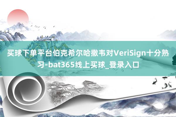 买球下单平台 伯克希尔哈撒韦对VeriSign十分熟习-bat365线上买球_登录入口 买球下单平台 伯克希尔哈撒韦对VeriSign十分熟习-bat365线上买球_登录入口