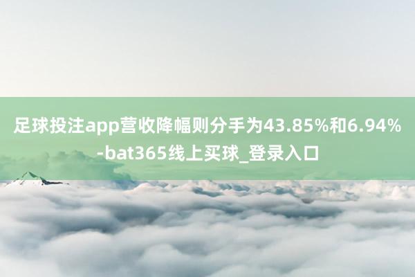 足球投注app营收降幅则分手为43.85%和6.94%-bat365线上买球_登录入口
